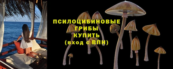 PSILOCYBIN Вязьма