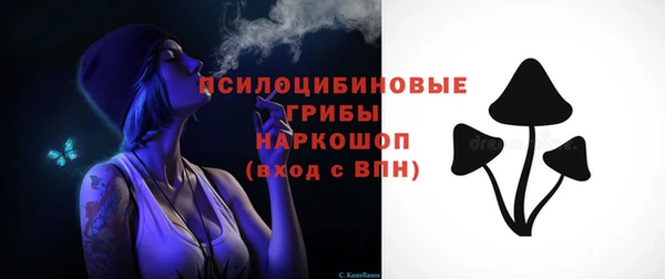 стафф Майский