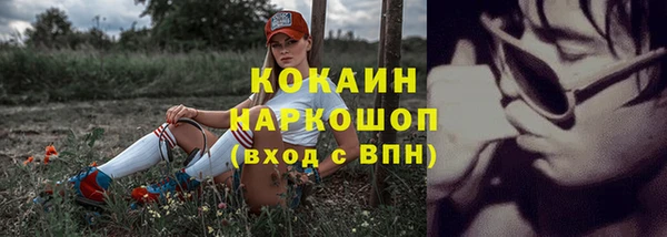 стафф Майский