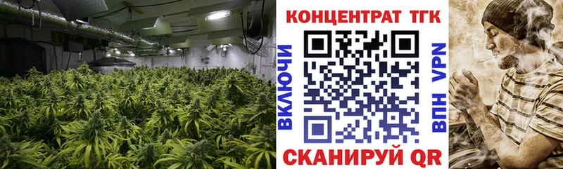 mega как войти  Николаевск  Дистиллят ТГК Wax  дарнет шоп 